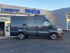 Daily Van